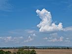 Odrovice
