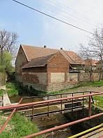 Třibřichy