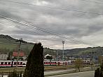 Skalité