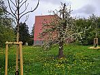 Třebíč-Borovina
