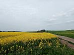 Lukovany