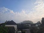 Olešná