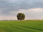 Lukovany