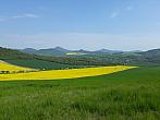 Podsedice