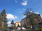 Jihlava