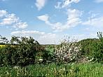 Lukovany