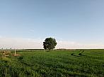 Lukovany
