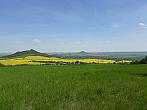 Podsedice
