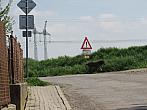 Třibřichy