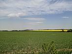 Hostákov