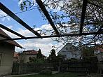 Třibřichy