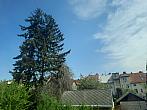Jihlava