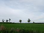 Lukovany