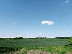 Lukovany