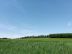 Lukovany