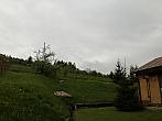 Skalité