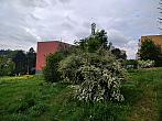 Třebíč-Borovina