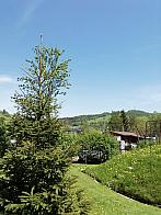 Skalité