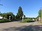 Třibřichy