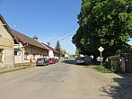 Třibřichy