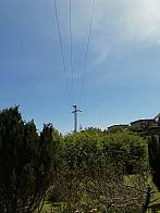 Skalité