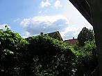 Třibřichy