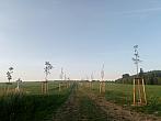 Lukovany