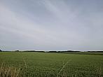 Hostákov