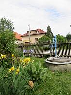 Třibřichy
