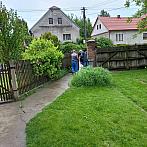 Třibřichy