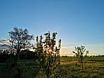 Odrovice