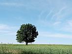 Lukovany