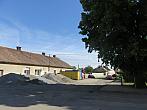 Třibřichy