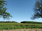 Lukovany