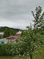 Skalité