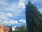 Olešná