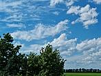 Odrovice