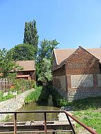Třibřichy