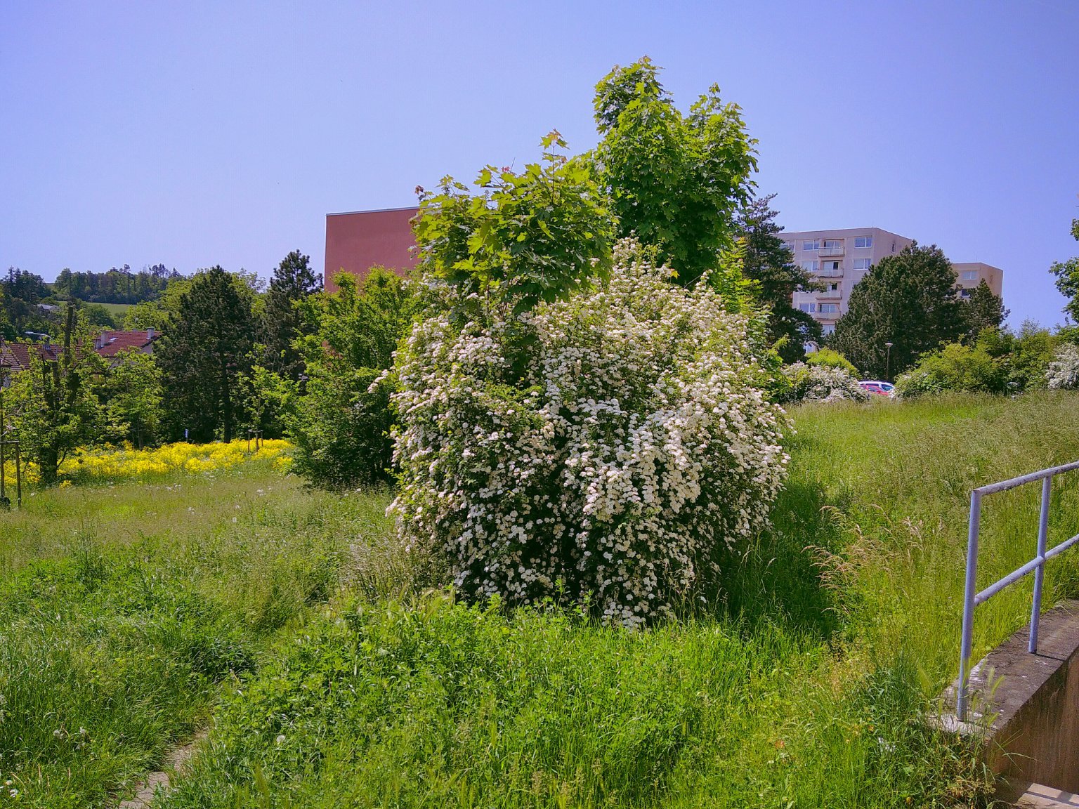 Třebíč-Borovina
