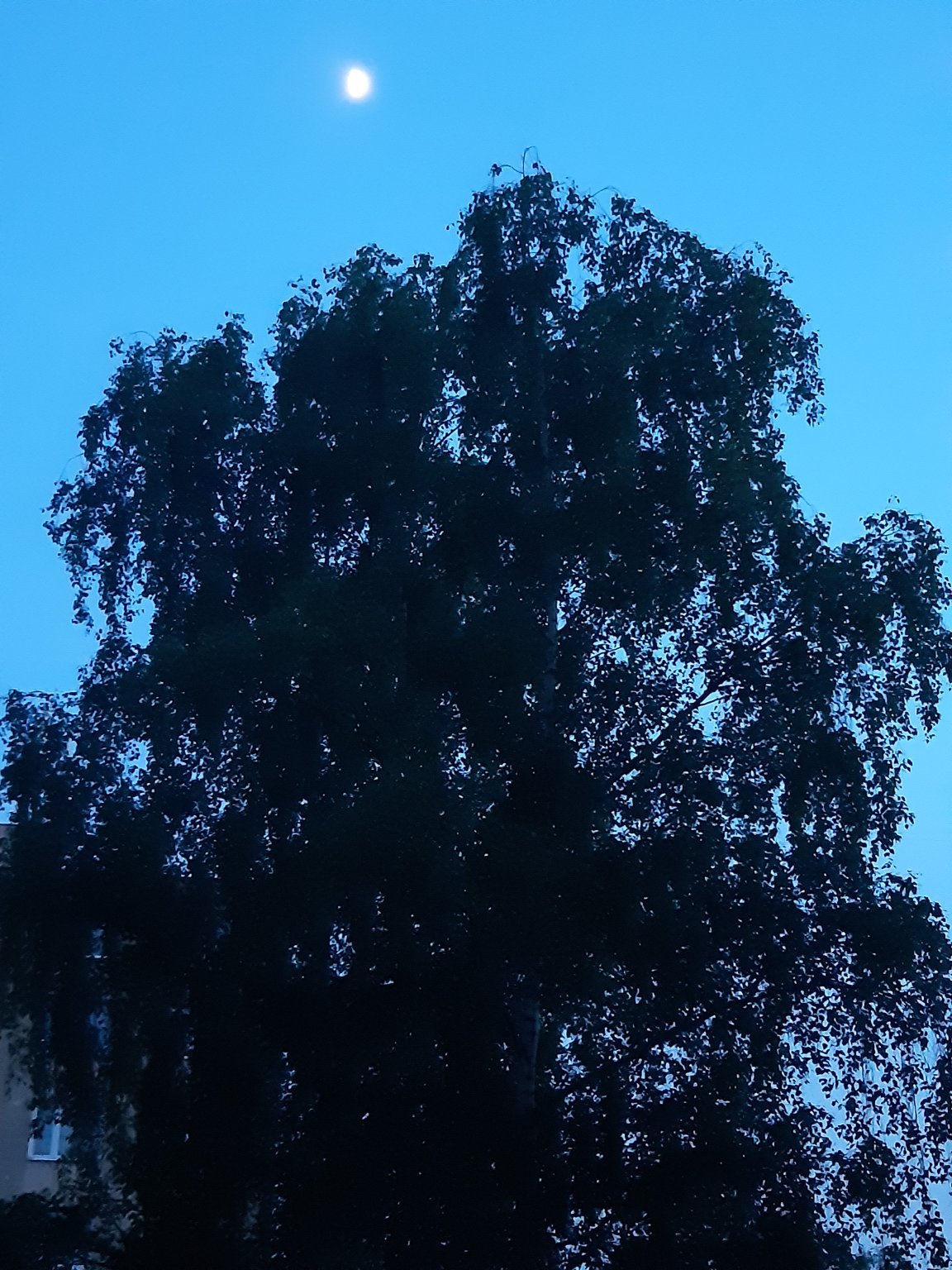 Frýdek-Místek