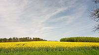 Lukovany