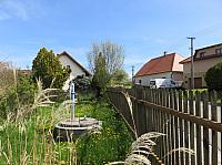 Třibřichy