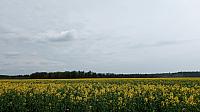 Lukovany