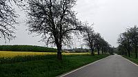 Lukovany