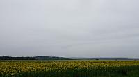 Lukovany