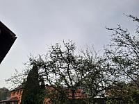Olešná