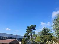 Most