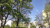 Teplice