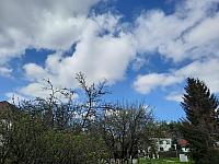 Olešná