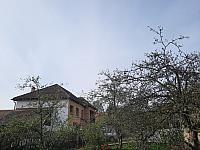 Olešná